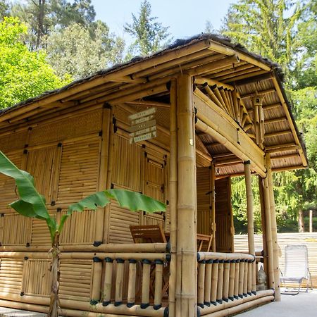 Suite Bambou Bien-Etre A Bali - Le Soleil Des Cevennes Saint-Jean-du-Gard Esterno foto
