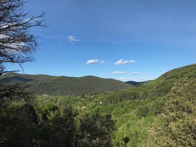 Suite Bambou Bien-Etre A Bali - Le Soleil Des Cevennes Saint-Jean-du-Gard Esterno foto