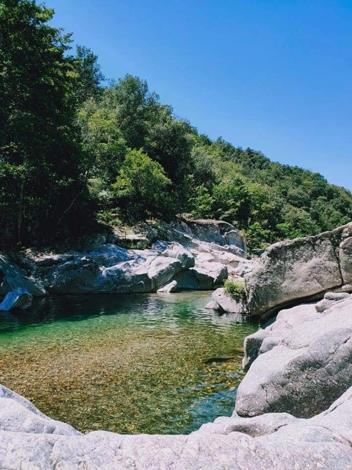 Suite Bambou Bien-Etre A Bali - Le Soleil Des Cevennes Saint-Jean-du-Gard Esterno foto