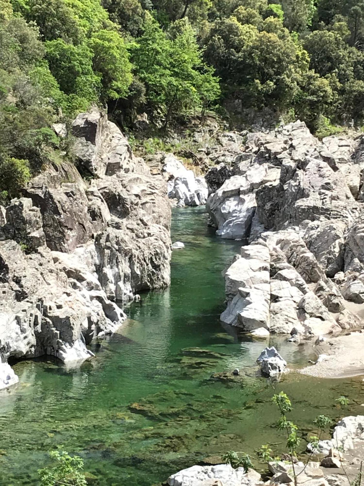 Suite Bambou Bien-Etre A Bali - Le Soleil Des Cevennes Saint-Jean-du-Gard Esterno foto
